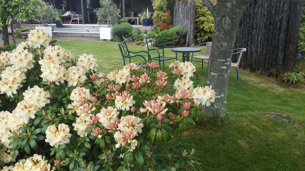 Alpine Rock B&B Te Anau Esterno foto